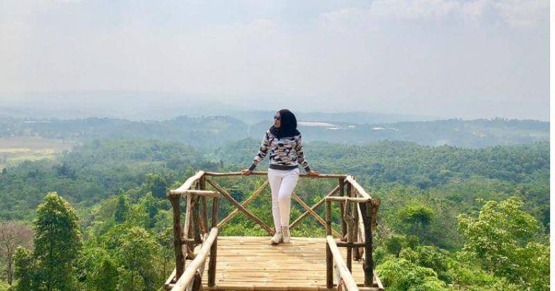 Instagram.com/febtife